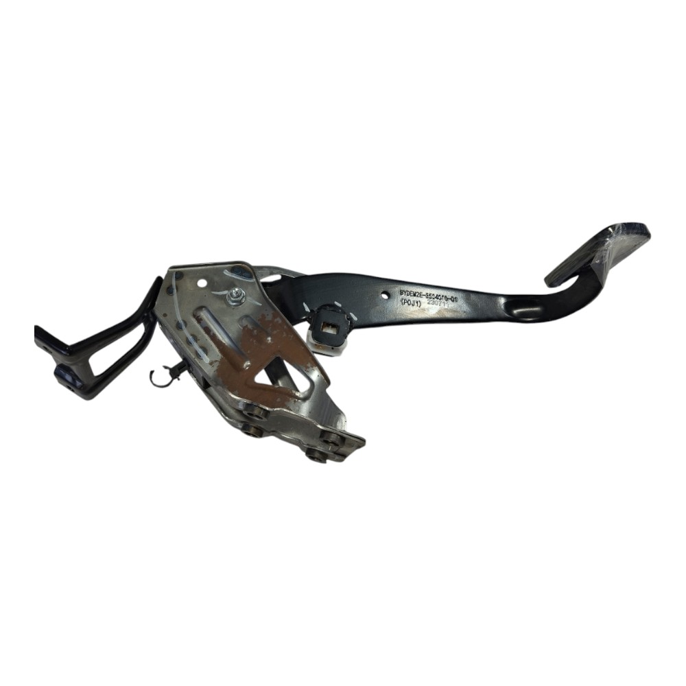 Pedal Freio Byd Dolphin Ev Gs 2024 V628 7