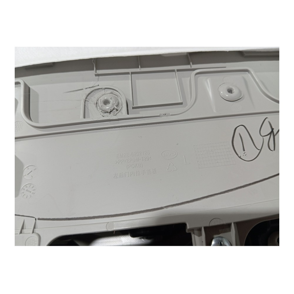 Forro Porta Traseira Esquerda Byd Dolphin Gs 2024 2025 V666 3