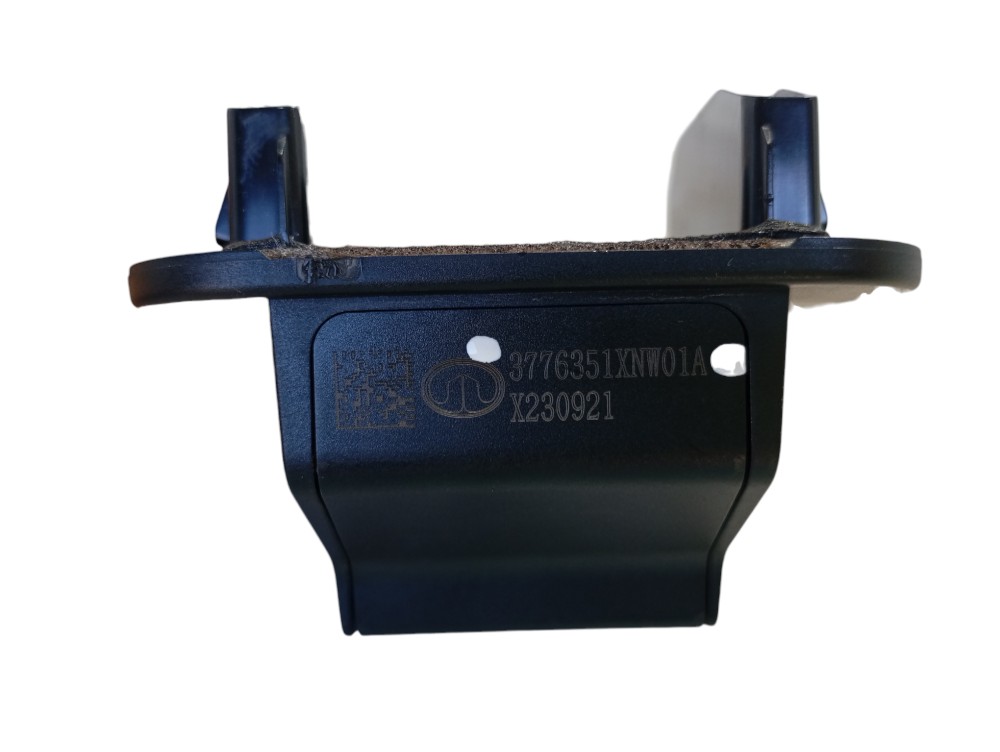 Câmera Ré Gwm Ora Gt 03 2024 V625 8