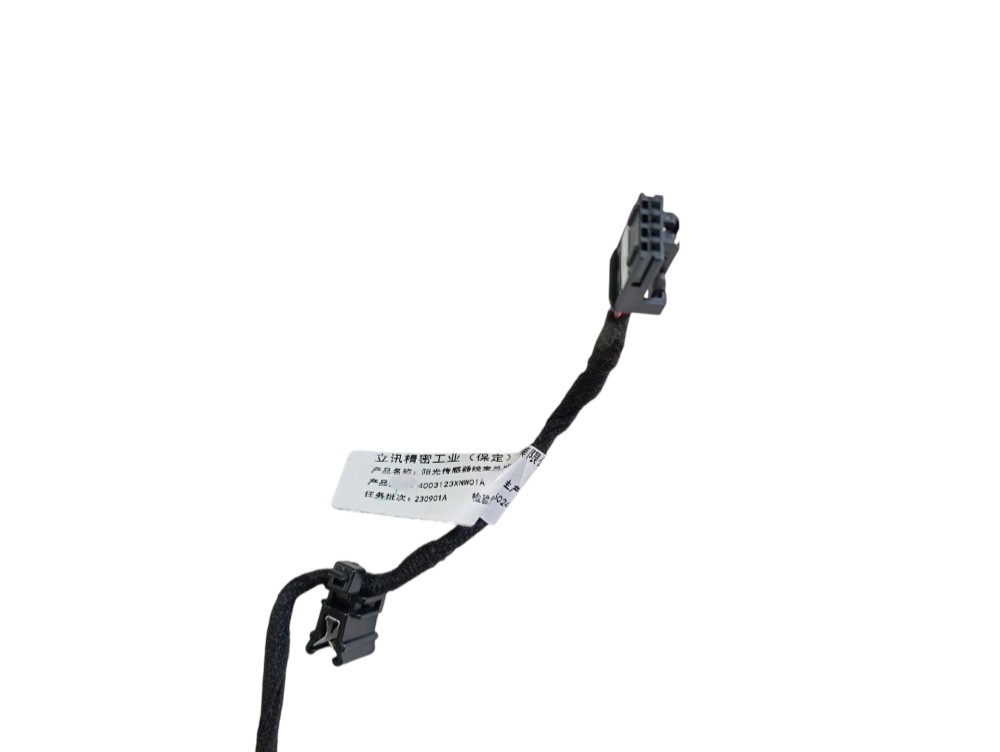 Sensor Temperatura Gwm Ora 2023 2024 V625 3