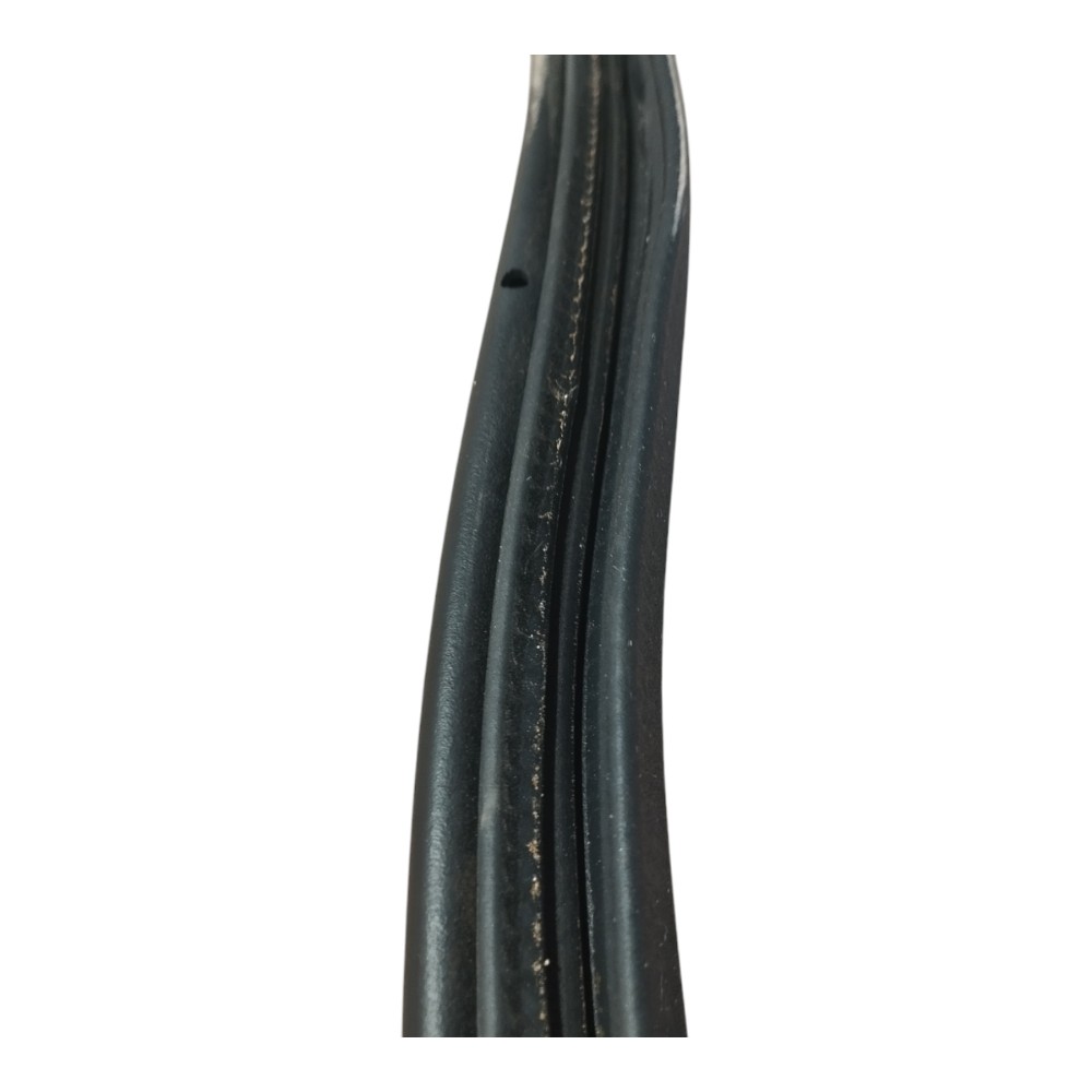 Borracha Porta Traseira Esquerda Rampage Rt 2023 2024 V641 4