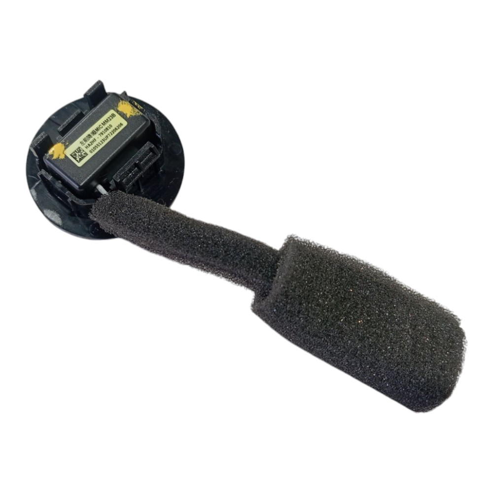 Tweeter Byd Dolphin Ev Gs 2024 V628 7