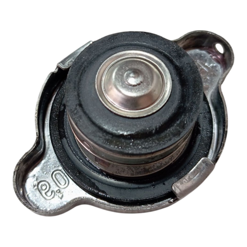 Tampa Radiador Byd Dolphin Mini 2024 2025 V634 3