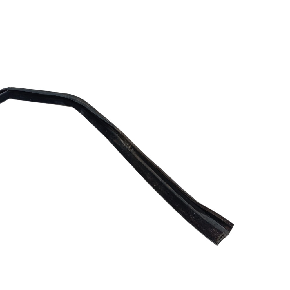 Borracha Porta Traseira Esquerda Discovery Sport 2020 V680 4