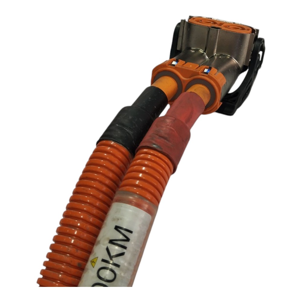 Cabo Chicote Bateria Byd Dolphin Mini 2024 2025 V634 4