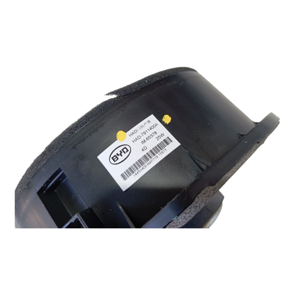 Alto Falante Dianteiro Esquerd Byd Dolphin Gs 2024 2025 V628 2