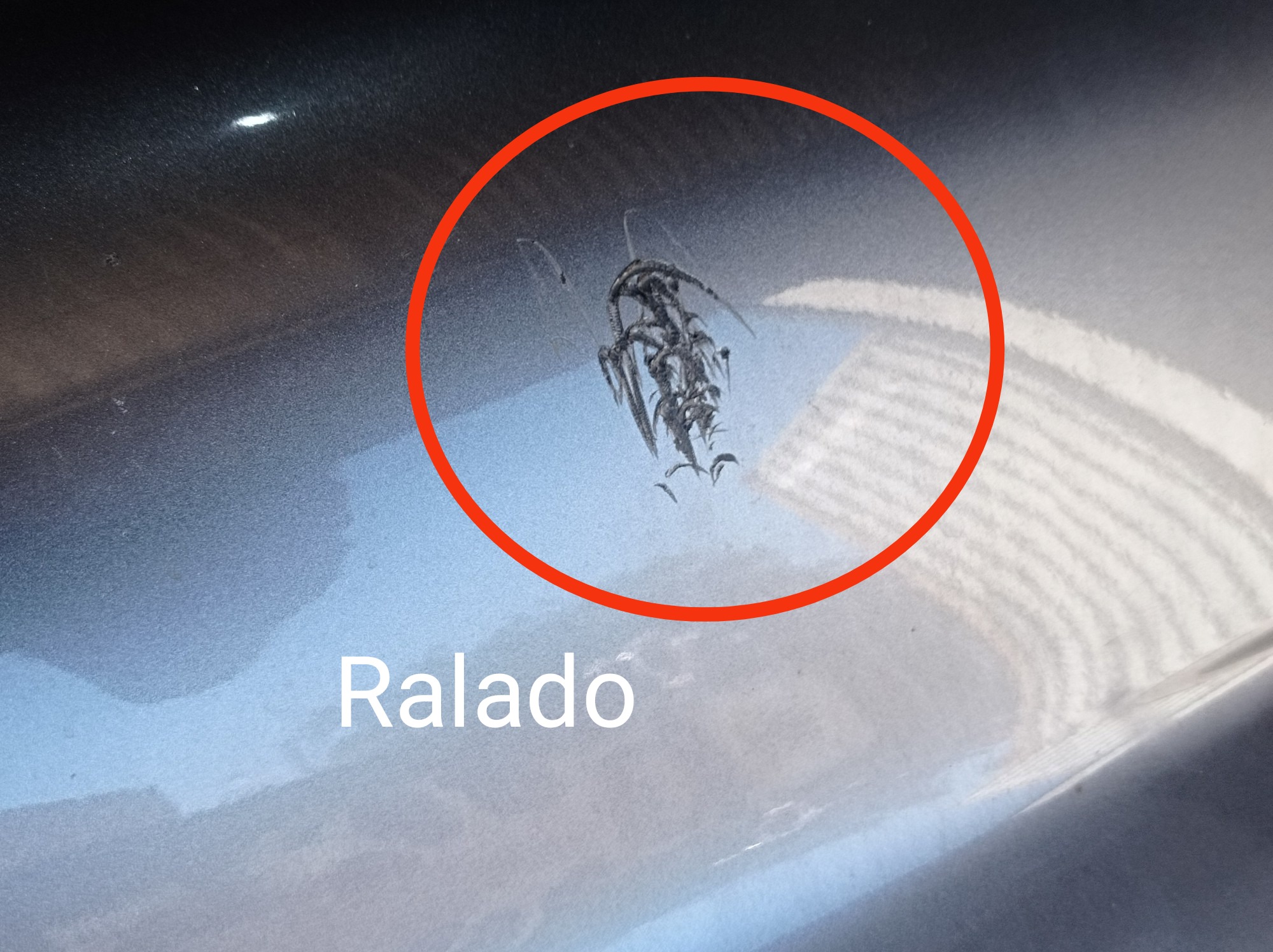 Parachoque Dianteiro Byd Dolphin Gs 2024 2025 V596 7