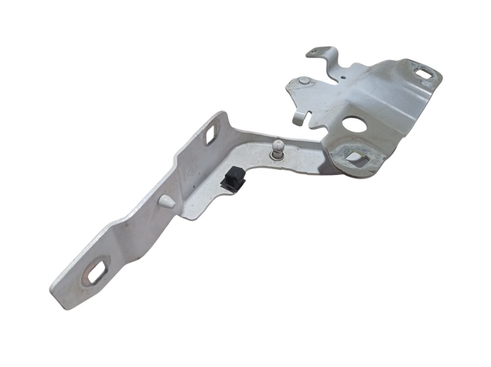 Dobradica Capo Direito Renault Zoe Neo Int 2023 V617 3