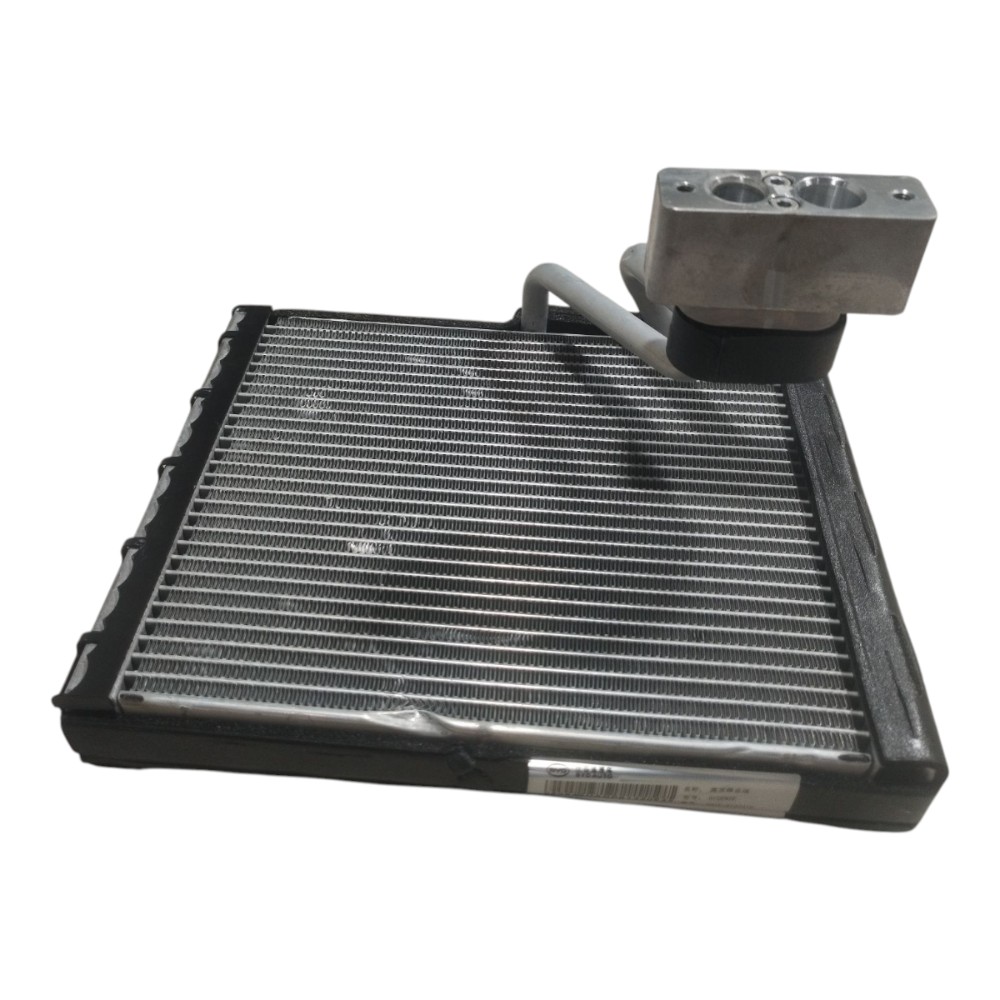 Caixa Evaporadora Byd Dolphin Gs 2024 2025 V666 4