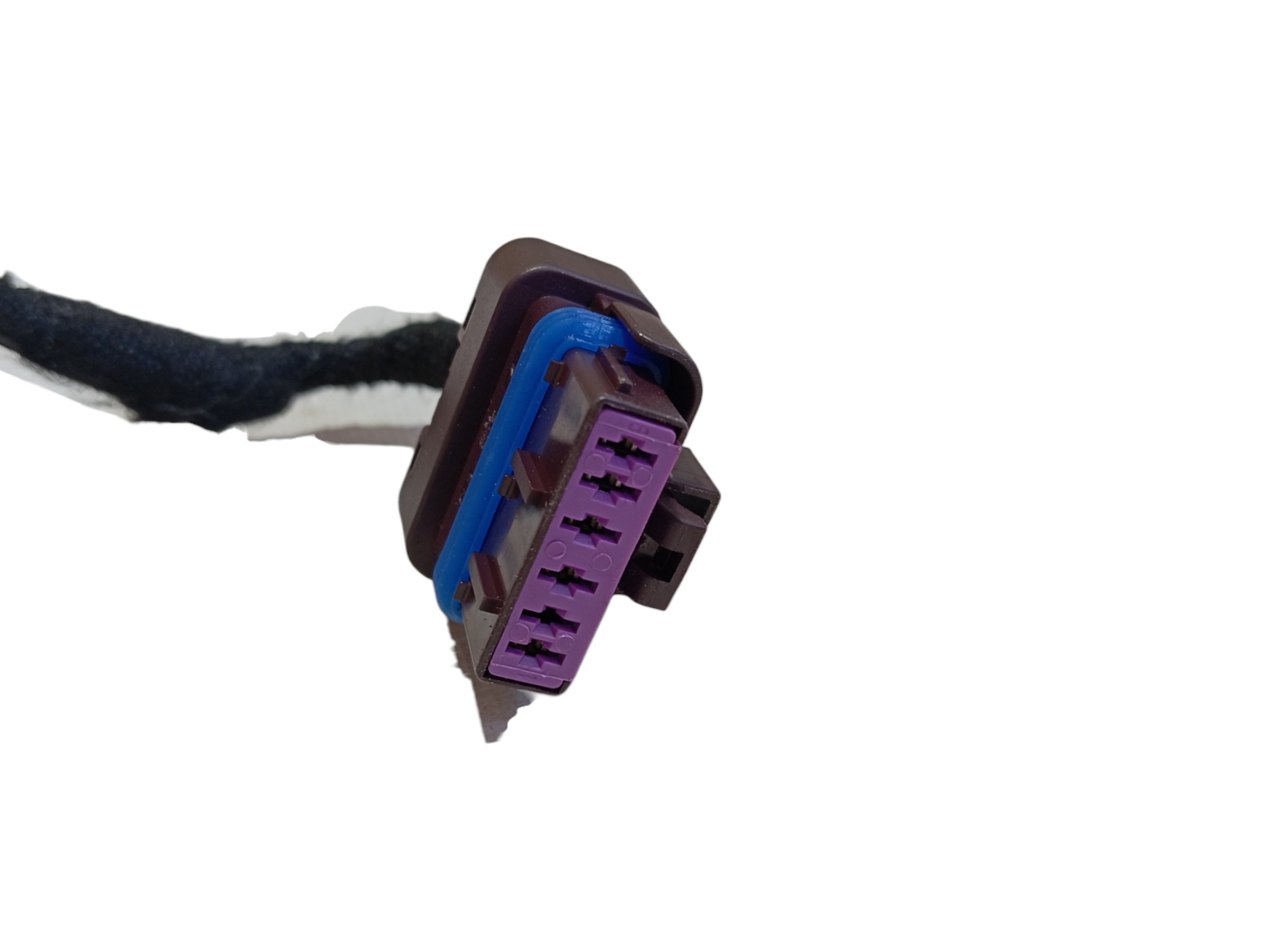 Chicote Porta Traseira Esquerd Byd Dolphin Gs 2024 2025 V594 4