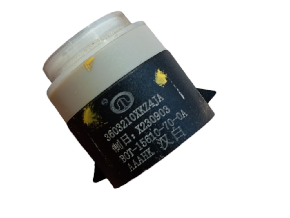 Sensor Estacionamento Traseiro Gwm Ora Gt03 2024 V625 2