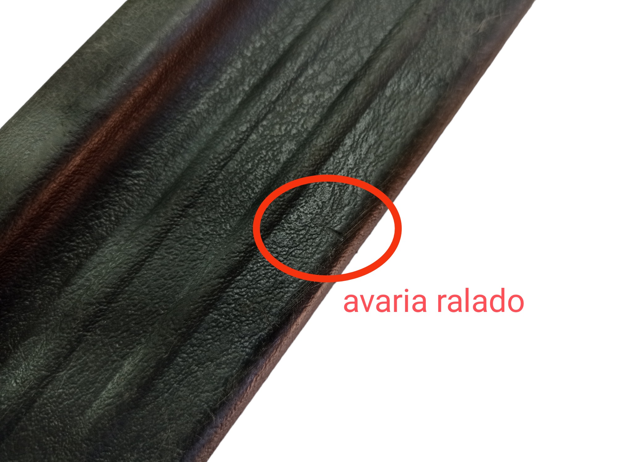 Soleira Dianteira Direita Mitsubishi Pajero Sport 10 V569 7