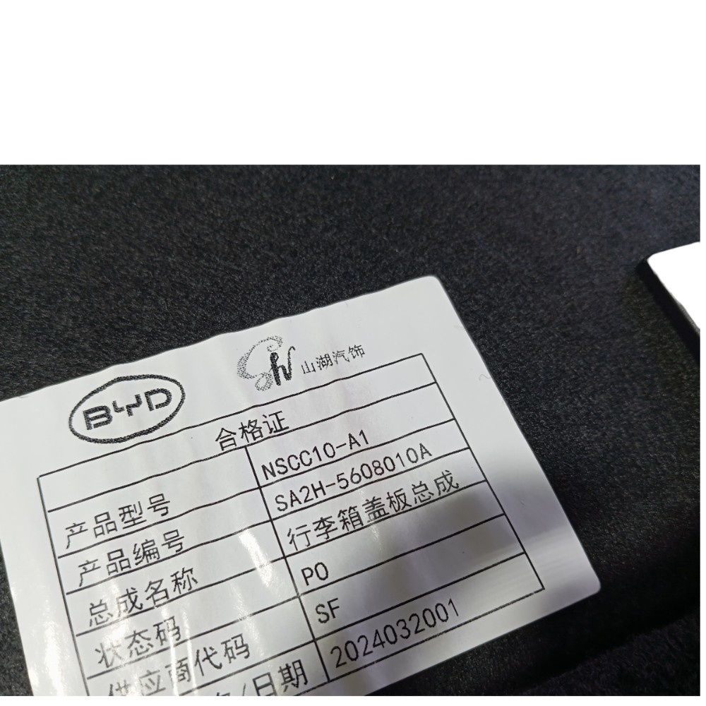Forro porta malas Byd Song Pro 2024 V674 5