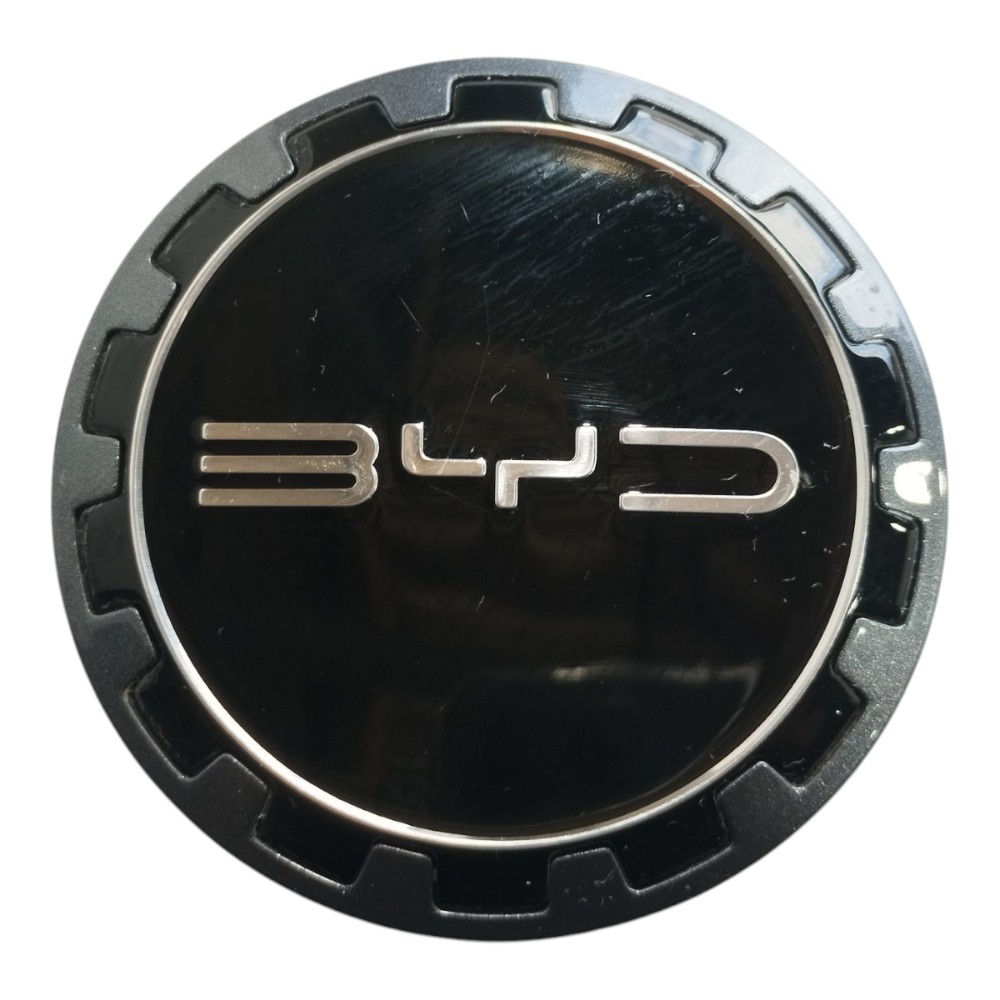 Miolo Calota Byd Song Plus 1.5 16v 2024 V631 2