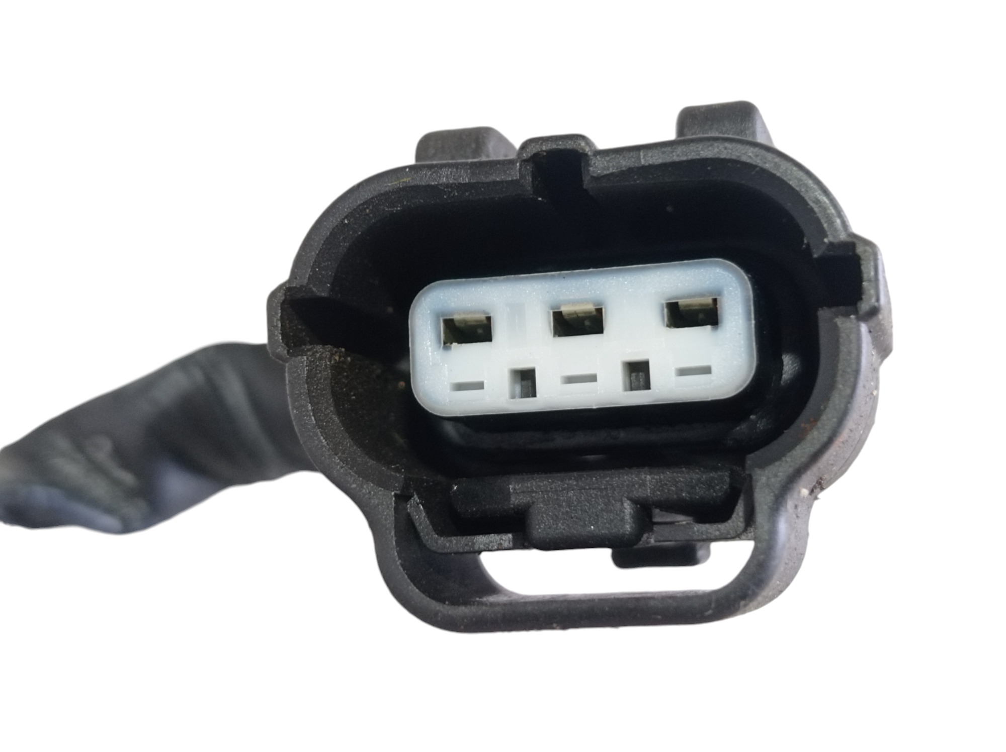 Chicote Sensor Flauta Mitsubishi Pajero Full 2020 V599 6