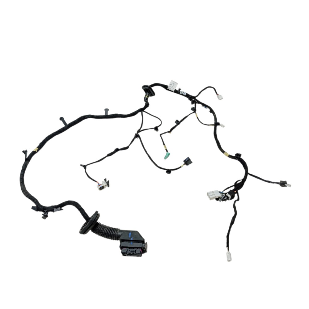 Chicote porta dianteira esquerda Byd Song Pro 2025 V669 7