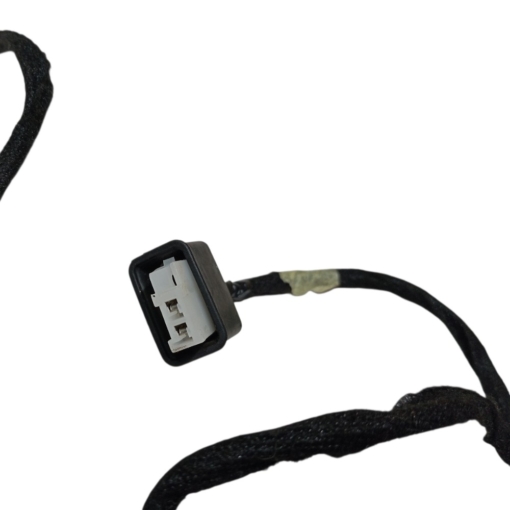 Chicote porta traseira esquerda Byd Song Pro 2025 V669 3