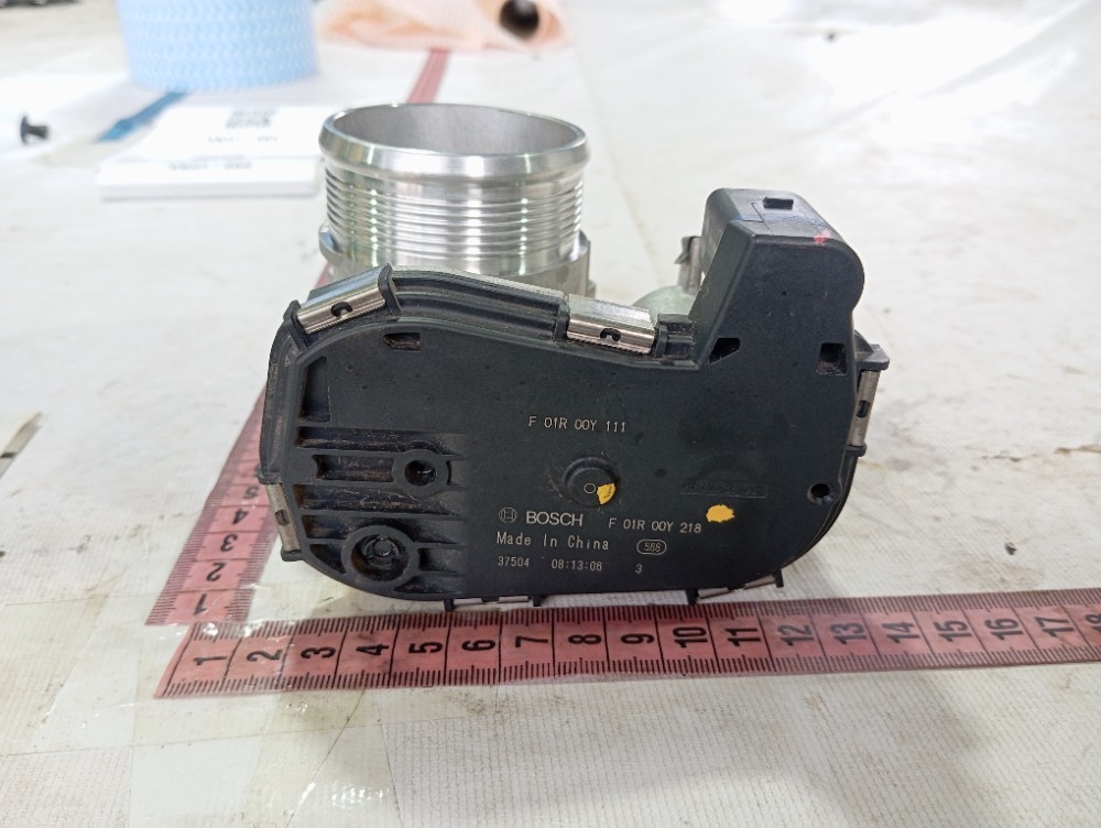 Tbi Corpo Borboleta Byd Song Plus 2024 V631 F01r00y111