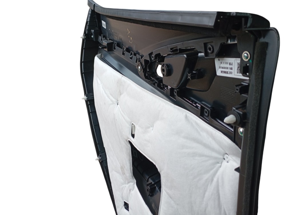 Forro Porta Traseira Direita Gwm Ora Gt 03 2024 V625 7