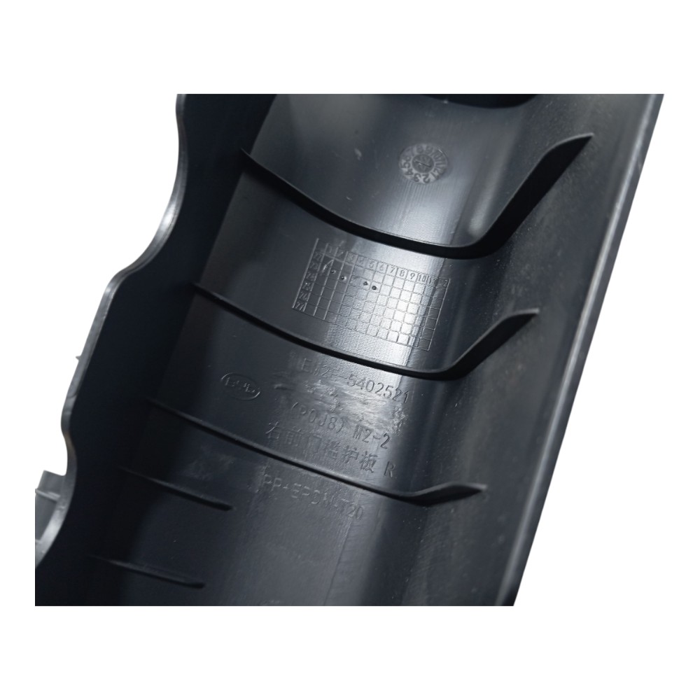 Soleira Porta Dianteir Direita Byd Dolphin Gs 2024 2025 V666 5