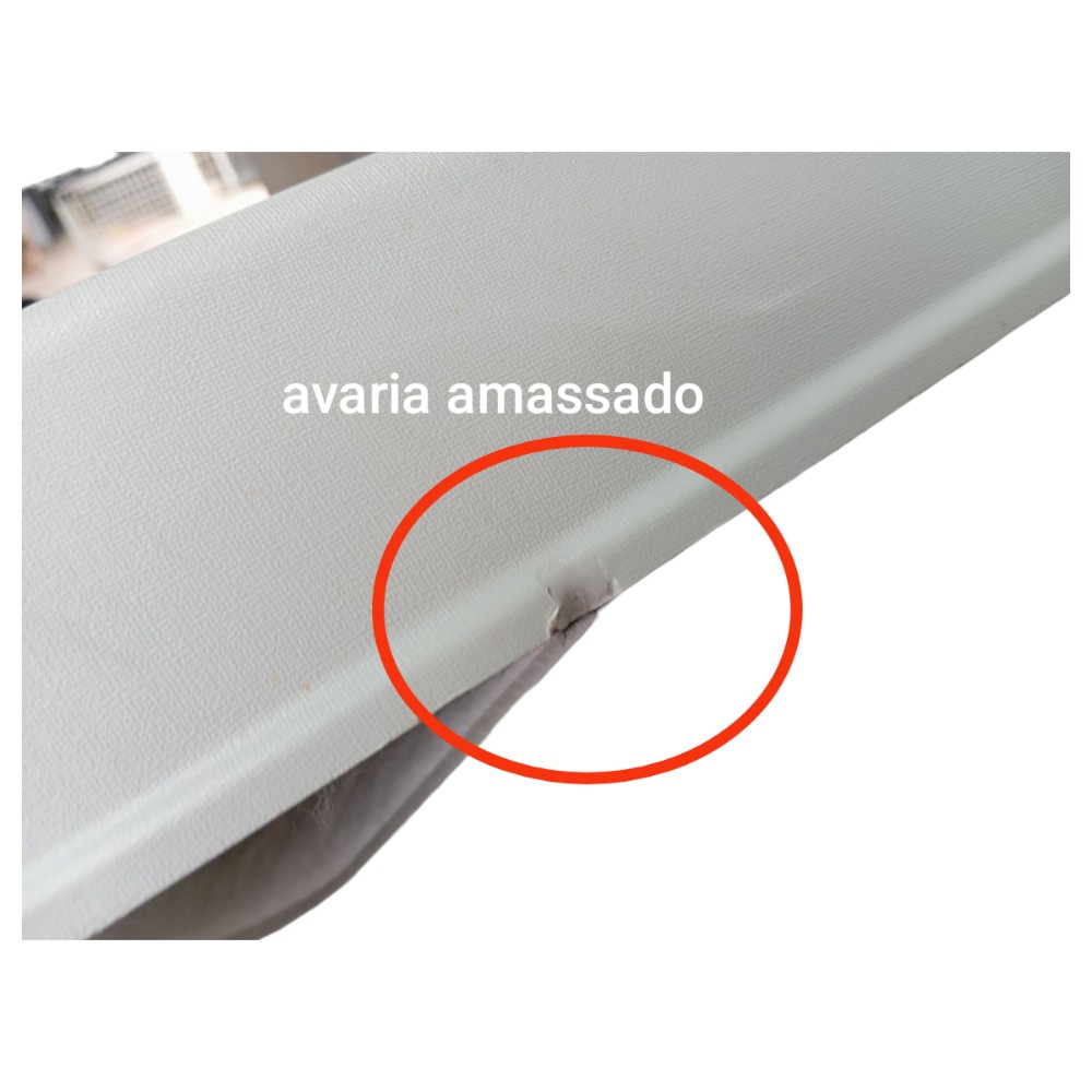 Forro Porta Traseira Esquerda Byd Dolphin Gs 2024 2025 V653 5