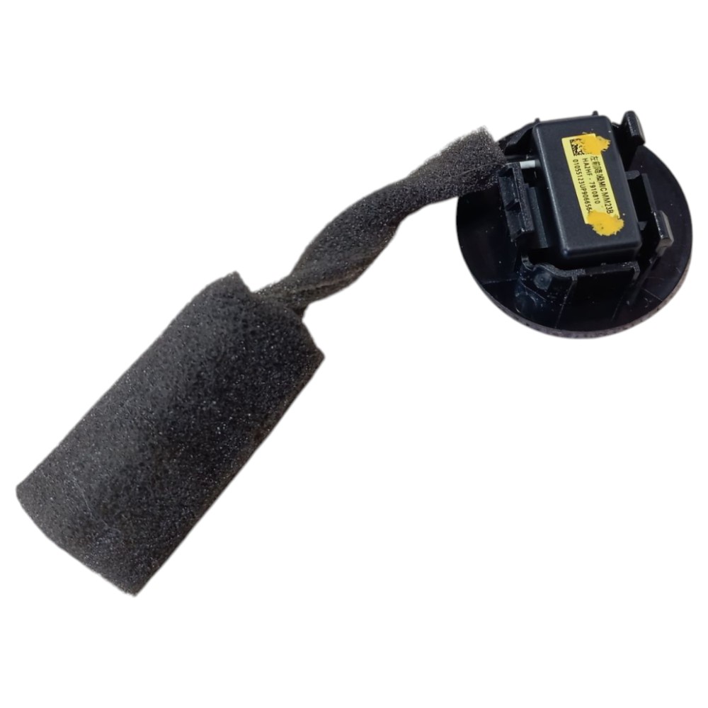 Tweeter Byd Dolphin 2024 V653 2