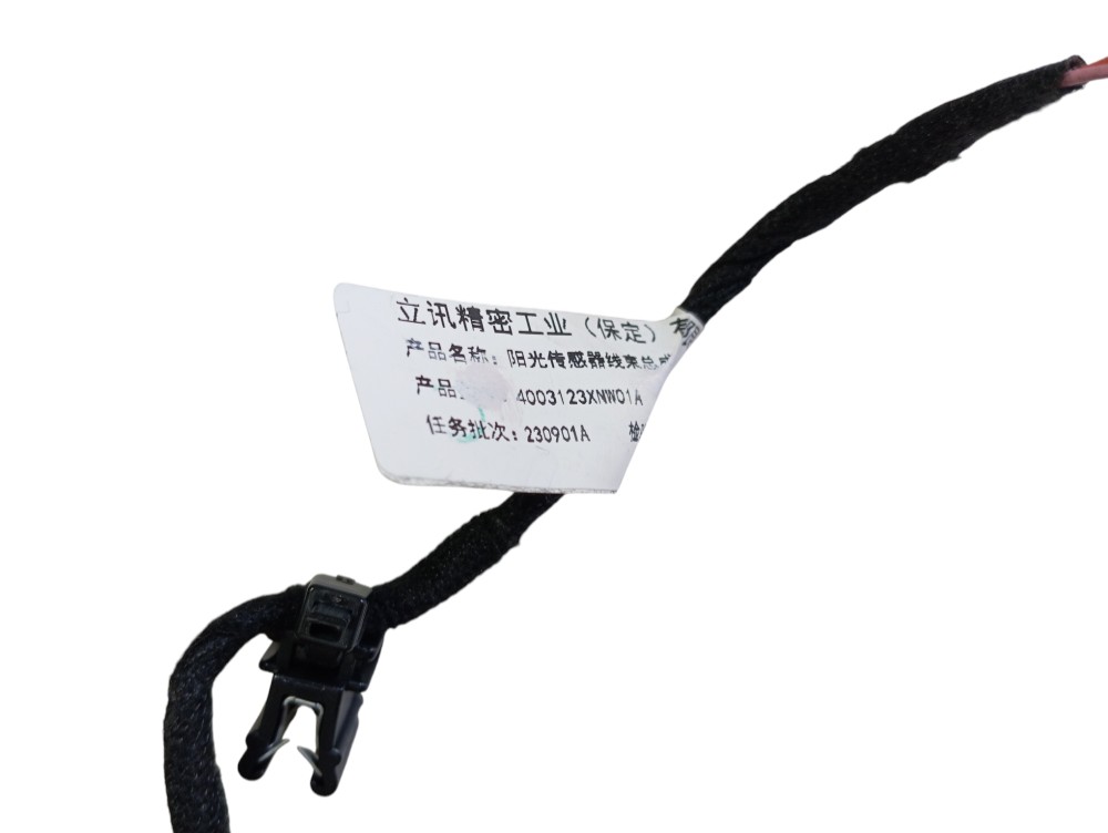 Sensor Temperatura Gwm Ora 2023 2024 V625 2