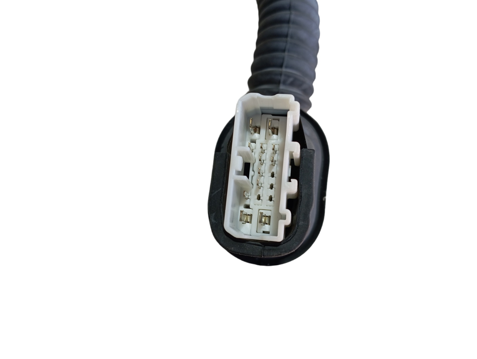 Chicote Porta Traseira Direita Byd Dolphin Gs 2024 2025 V594 2