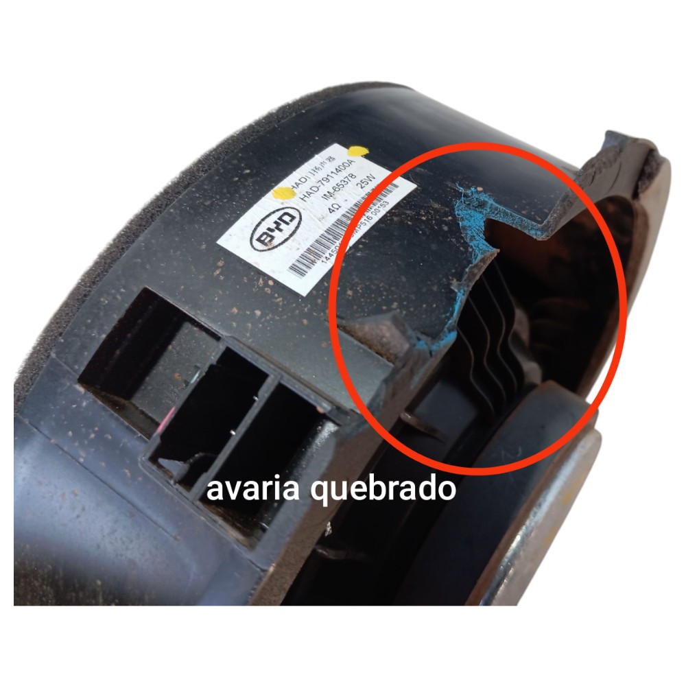Alto Falante Dianteiro Esquerd Byd Dolphin Gs 2024 2025 V653