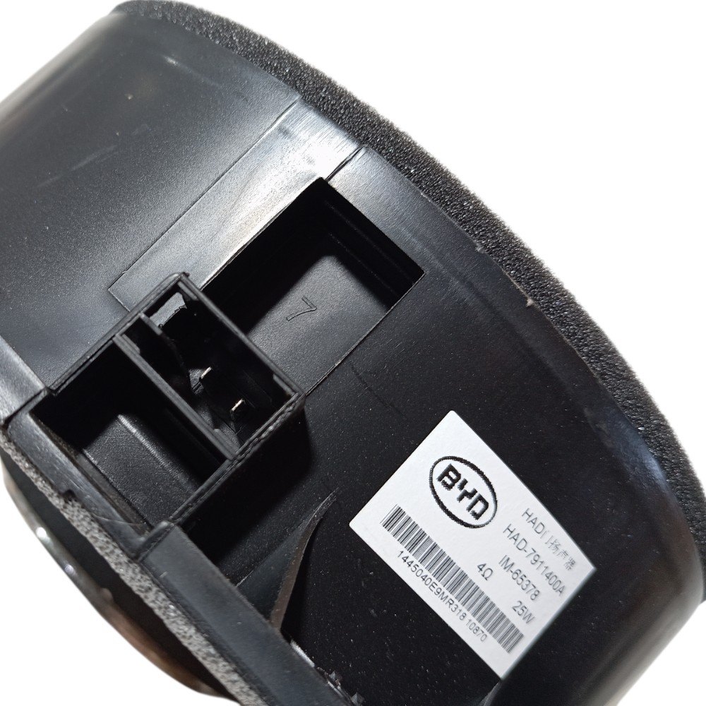 Alto Falante Porta Traseira Direita Byd Song Pro 2024 V674 4