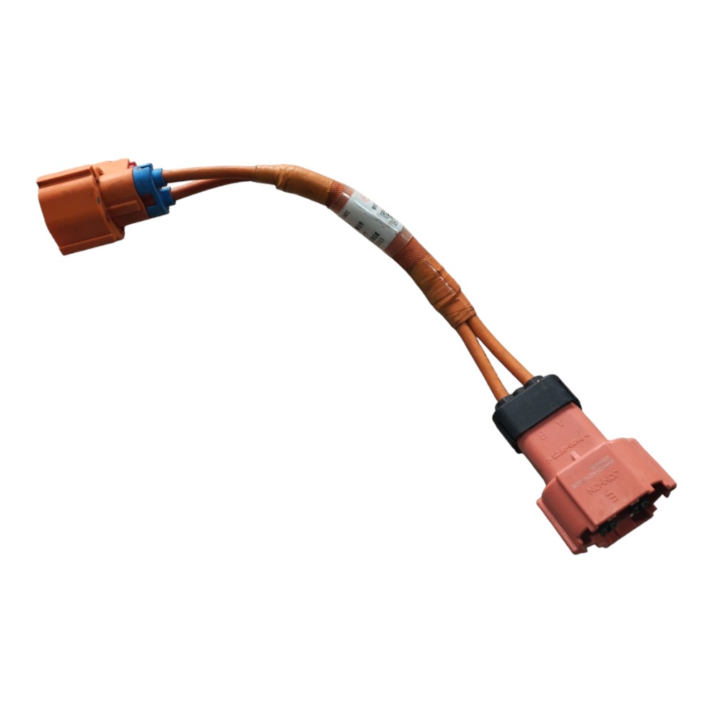 Chicote Compressor Byd Dolphin Gs 2024 2025 V653 2