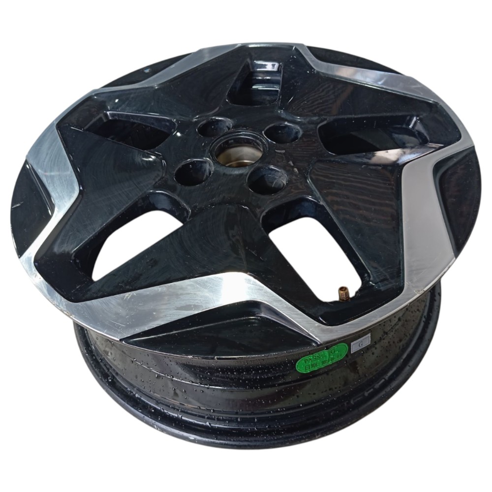 Roda Aro 16 Byd Dolphin Gs 2024 2025 V653
