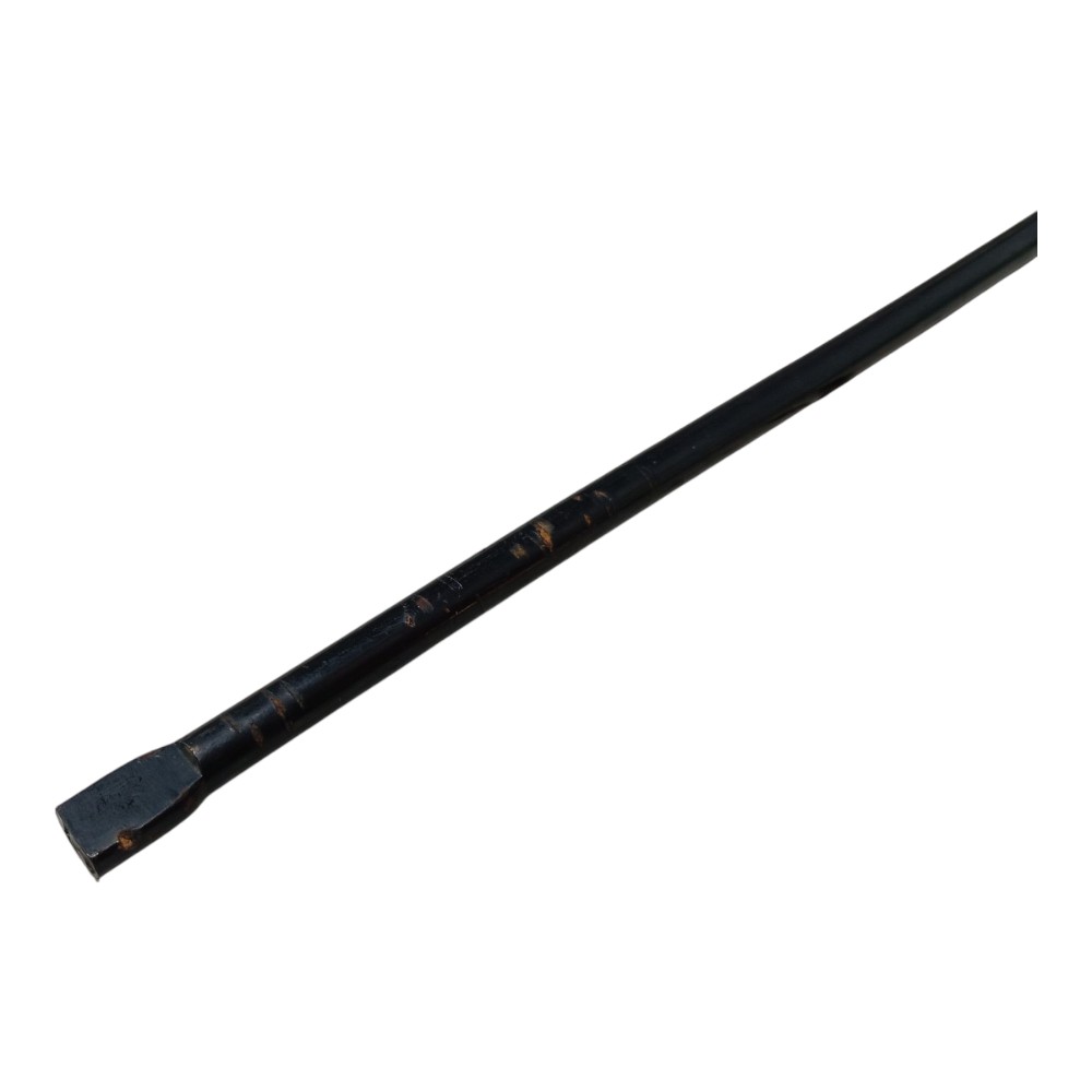 Haste Macaco Byd Dolphin Gs 2024 2025 V666 5