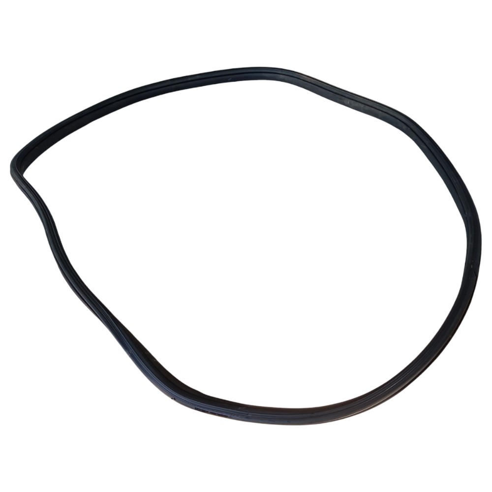 Borracha Porta Traseira Direita Byd Dolphin Gs 2024 25 V653 7