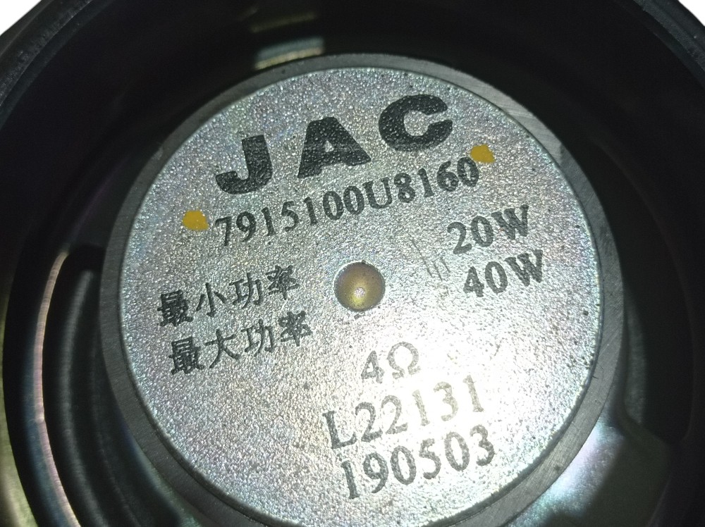 Alto Falante Traseiro Esquerdo Jac Iev40 2020 V615 Preto 5