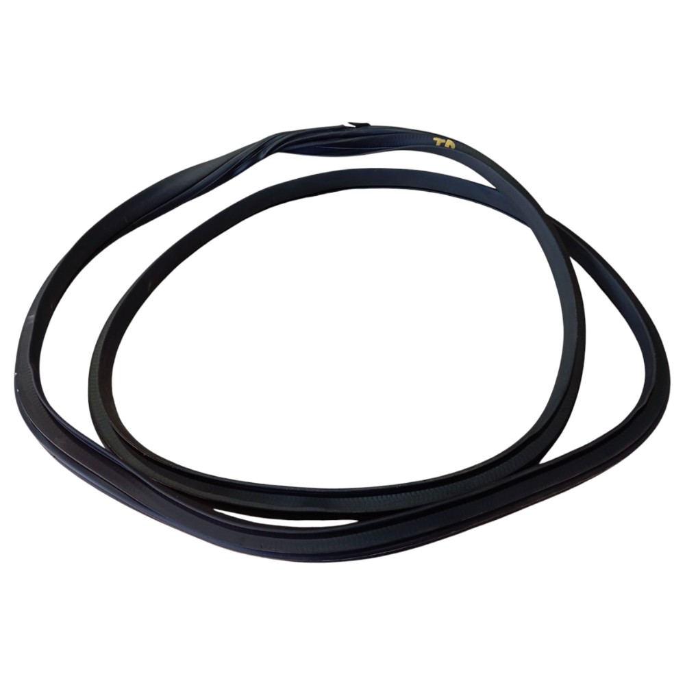 Borracha Porta Traseira Direita Byd Dolphin Gs 2024 25 V653 5