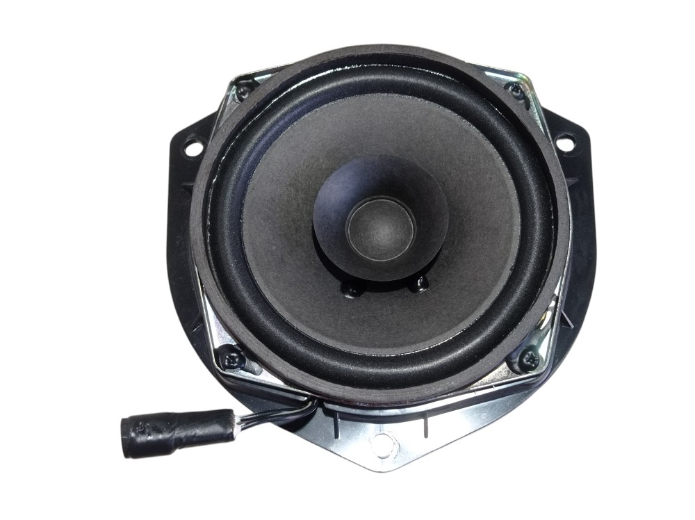 Alto Falante Traseiro Esquerdo Jac Iev40 2020 V615 Preto 3