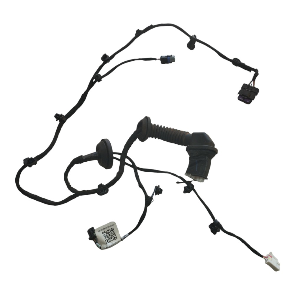 Chicote Porta Traseira Esquerd Byd Dolphin Gs 2024 2025 V653 8