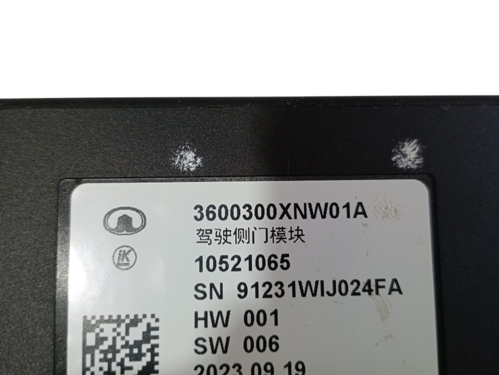 Módulo Porta Dianteira Esquerda Gwm Ora Gt 03 2024 V625 10