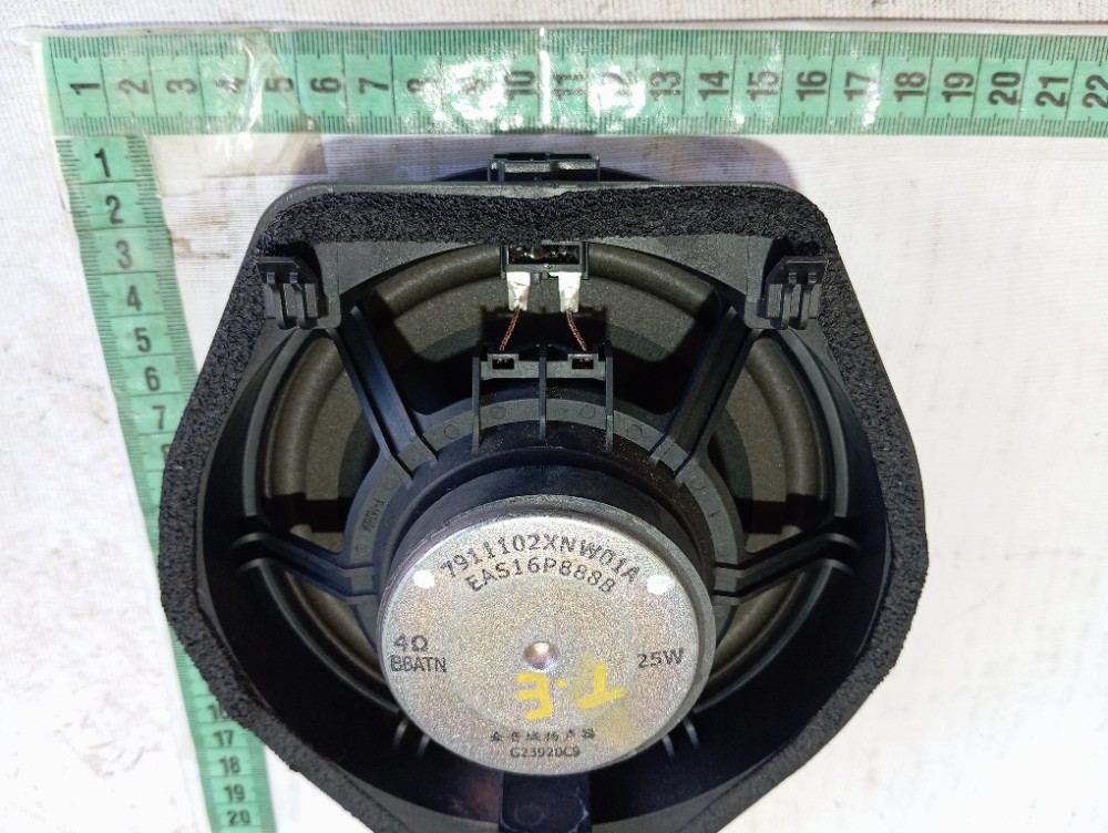 Alto Falante Porta Traseira Esquerda Gwm Ora Gt03 2024 V625 7