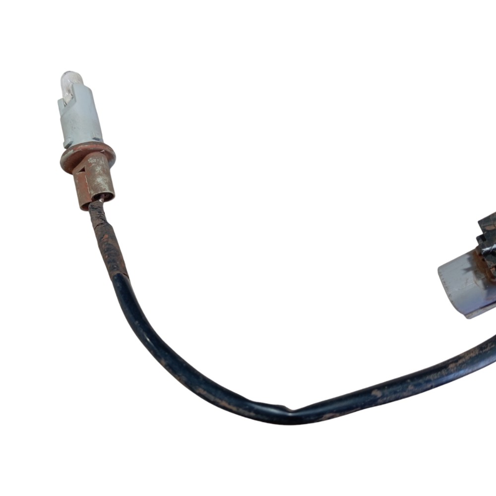 Chicote Lanterna Traseira Land Cruiser Prado 2005 V620 4