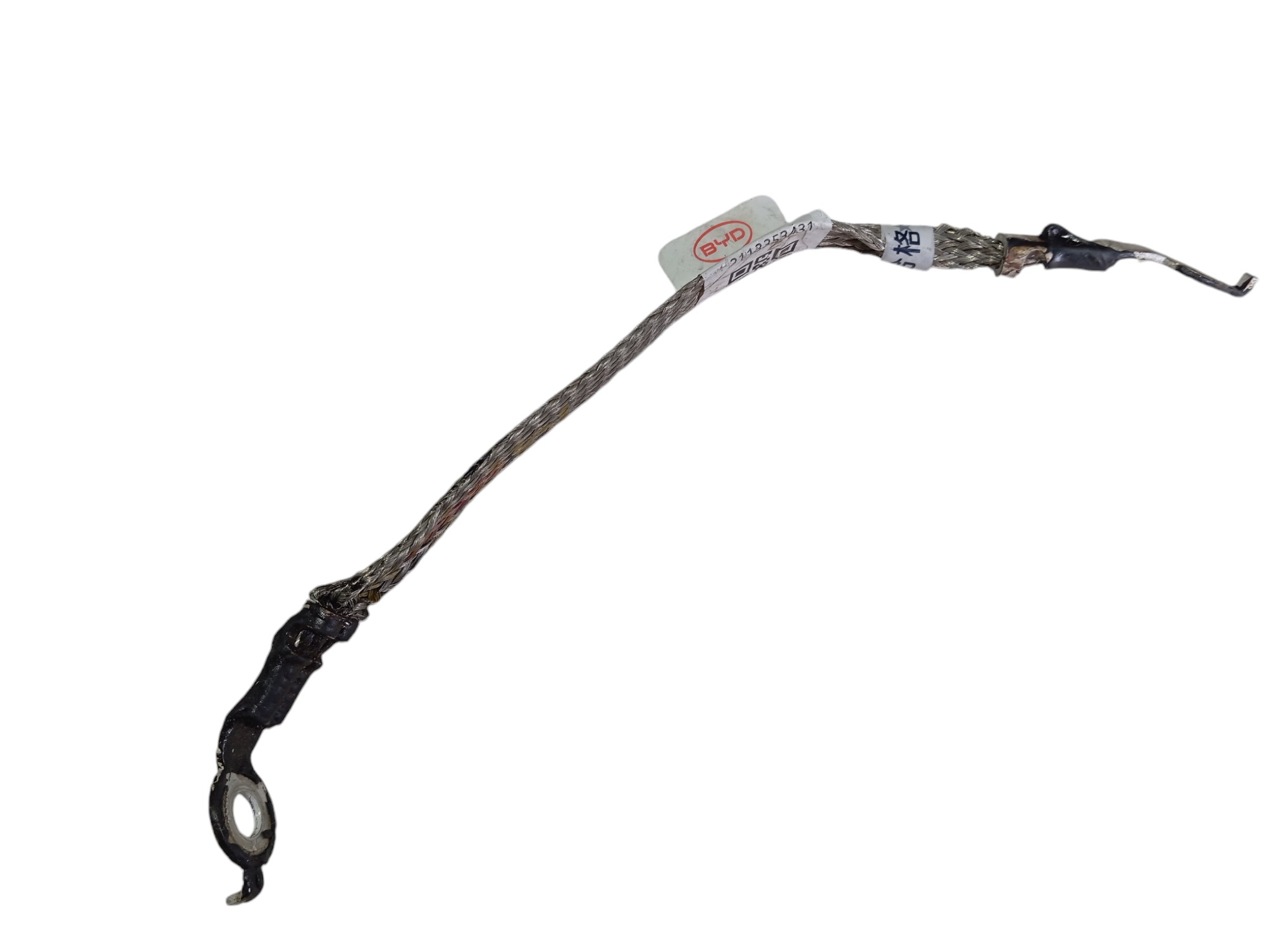 Cabo Terra Byd Dolphin Gs 180ev 2024 V596 1