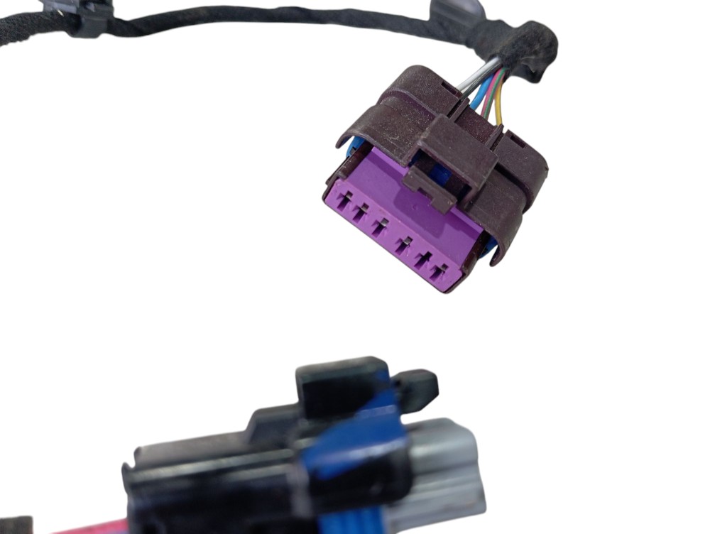 Chicote Porta Traseira Esquerd Byd Dolphin Gs 2024 2025 V628 5