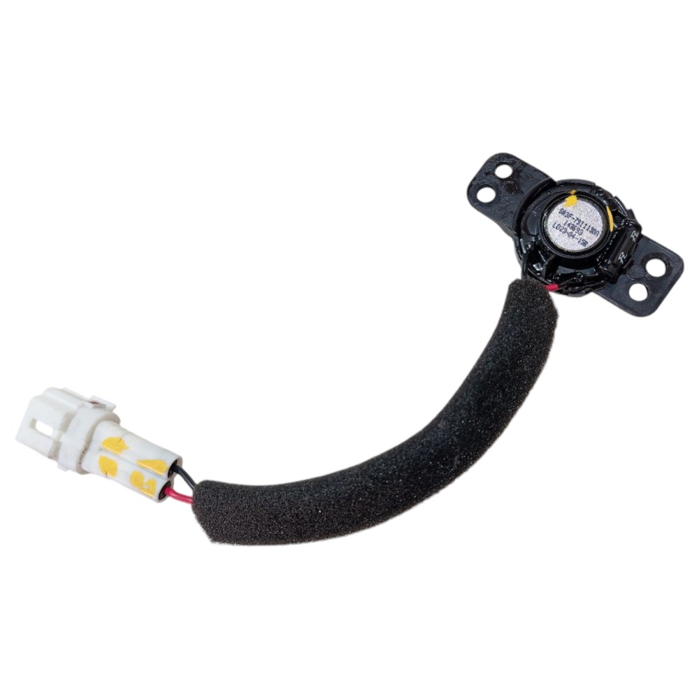 Tweeter Porta Dianteiro Direito Byd Song Plus 2024 2025 V642 1