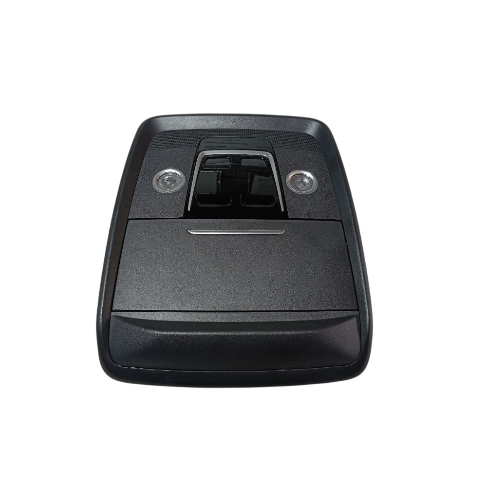 Luz teto porta óculos Byd Song Pro 2024 V674 4