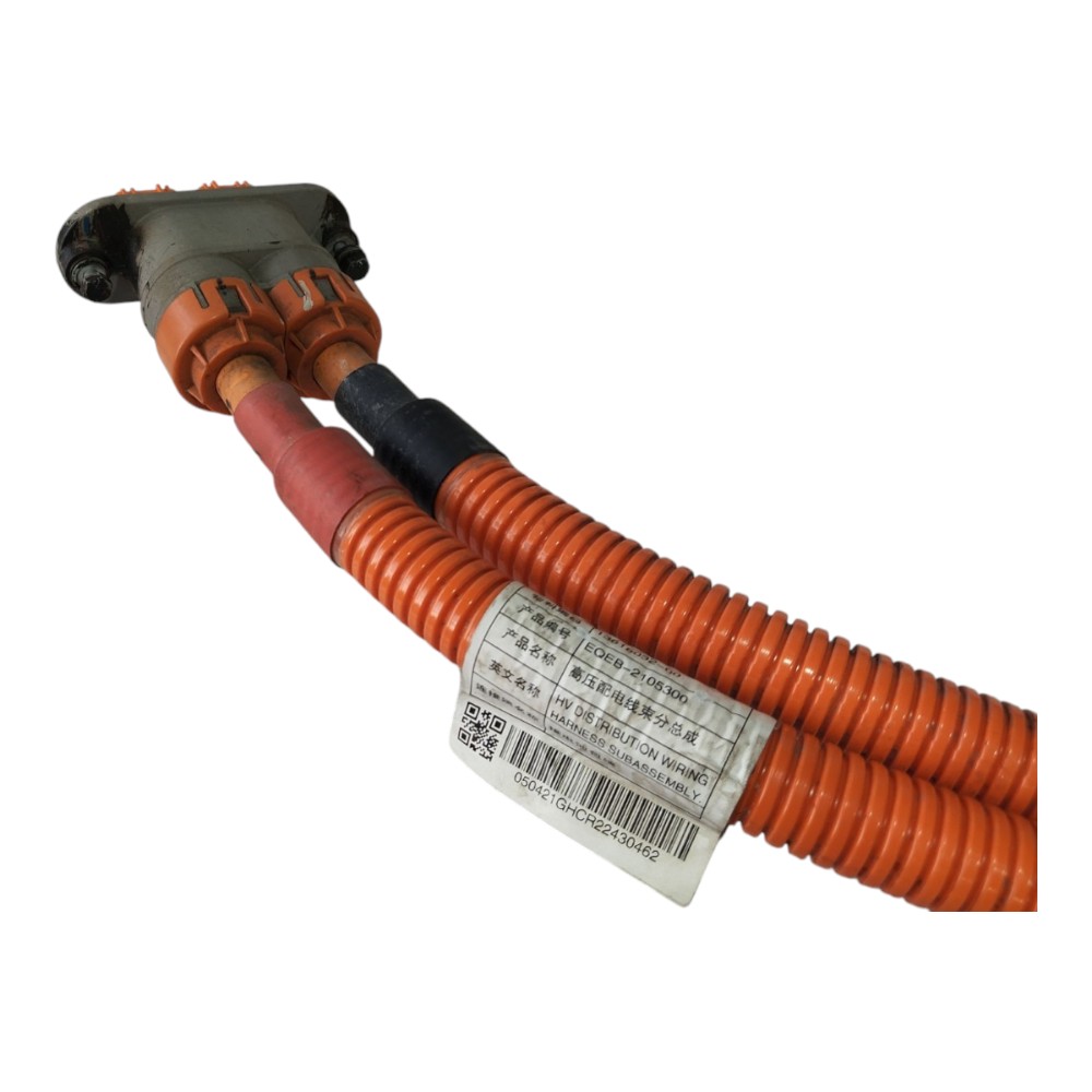 Cabo Chicote Bateria Byd Dolphin Mini 2024 2025 V634 5