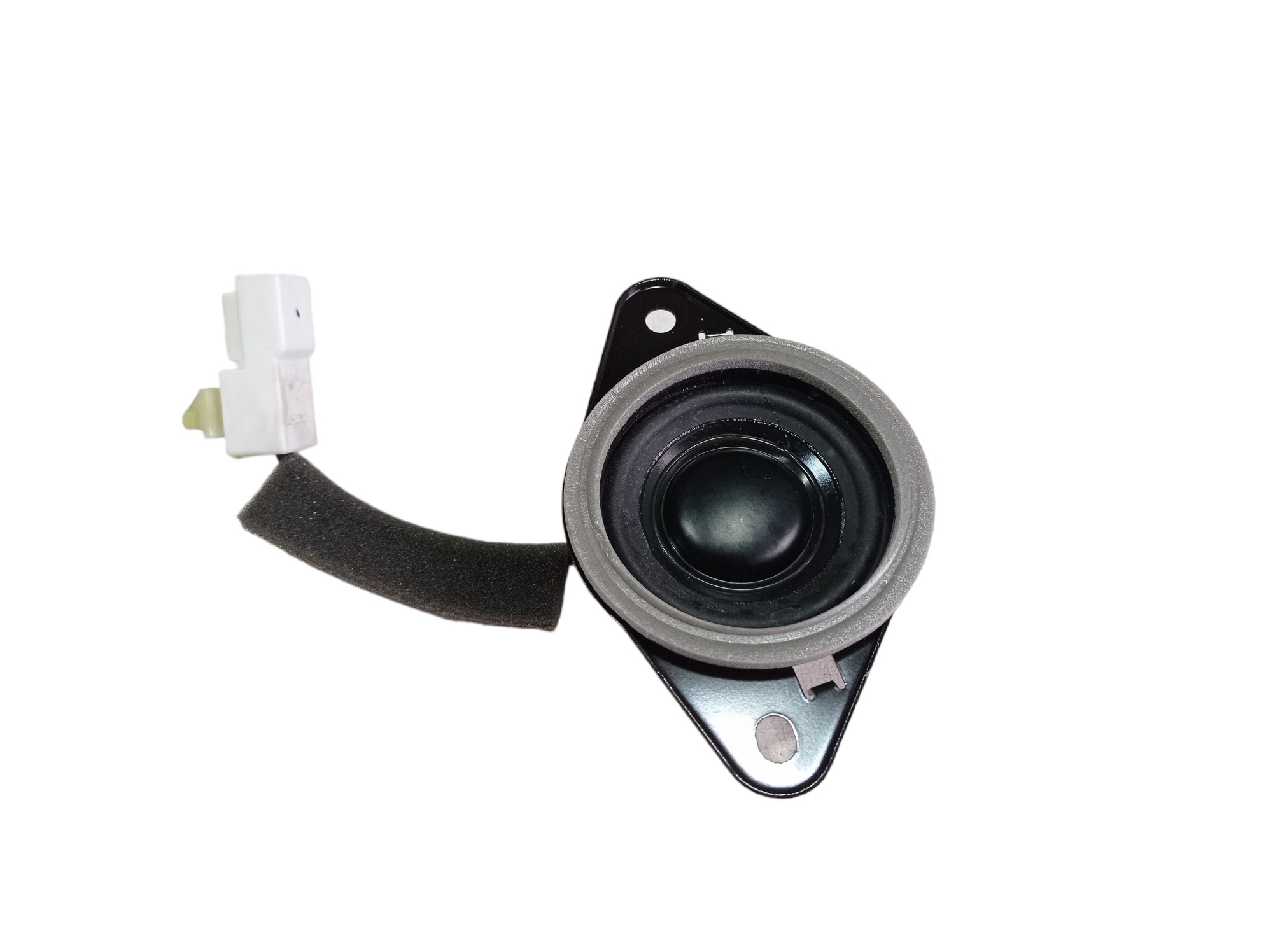 Twitter Porta Traseira Direita Hyundai Equus 2013 V577 7