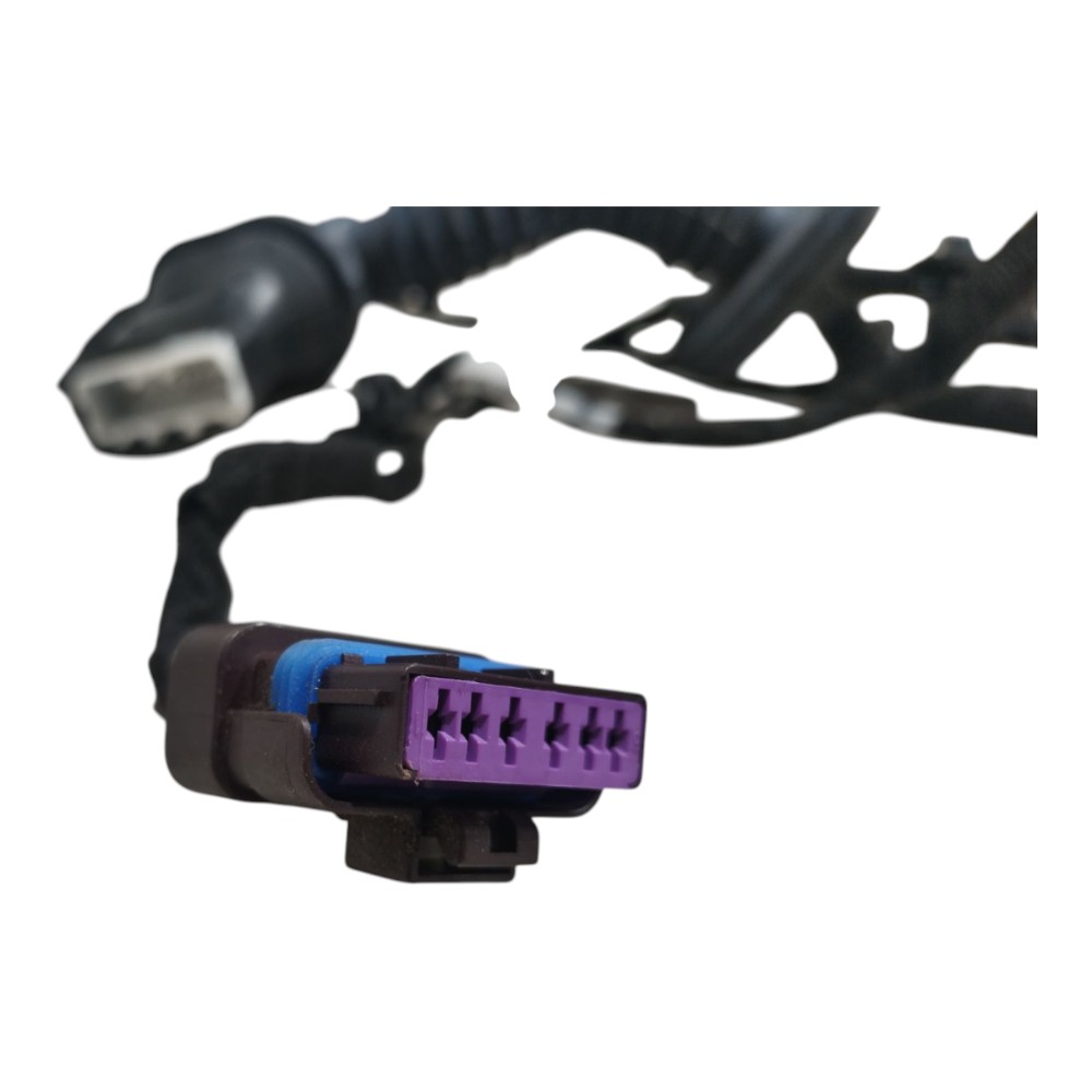 Chicote Porta Traseira Esquerd Byd Dolphin Gs 2024 2025 V666 8