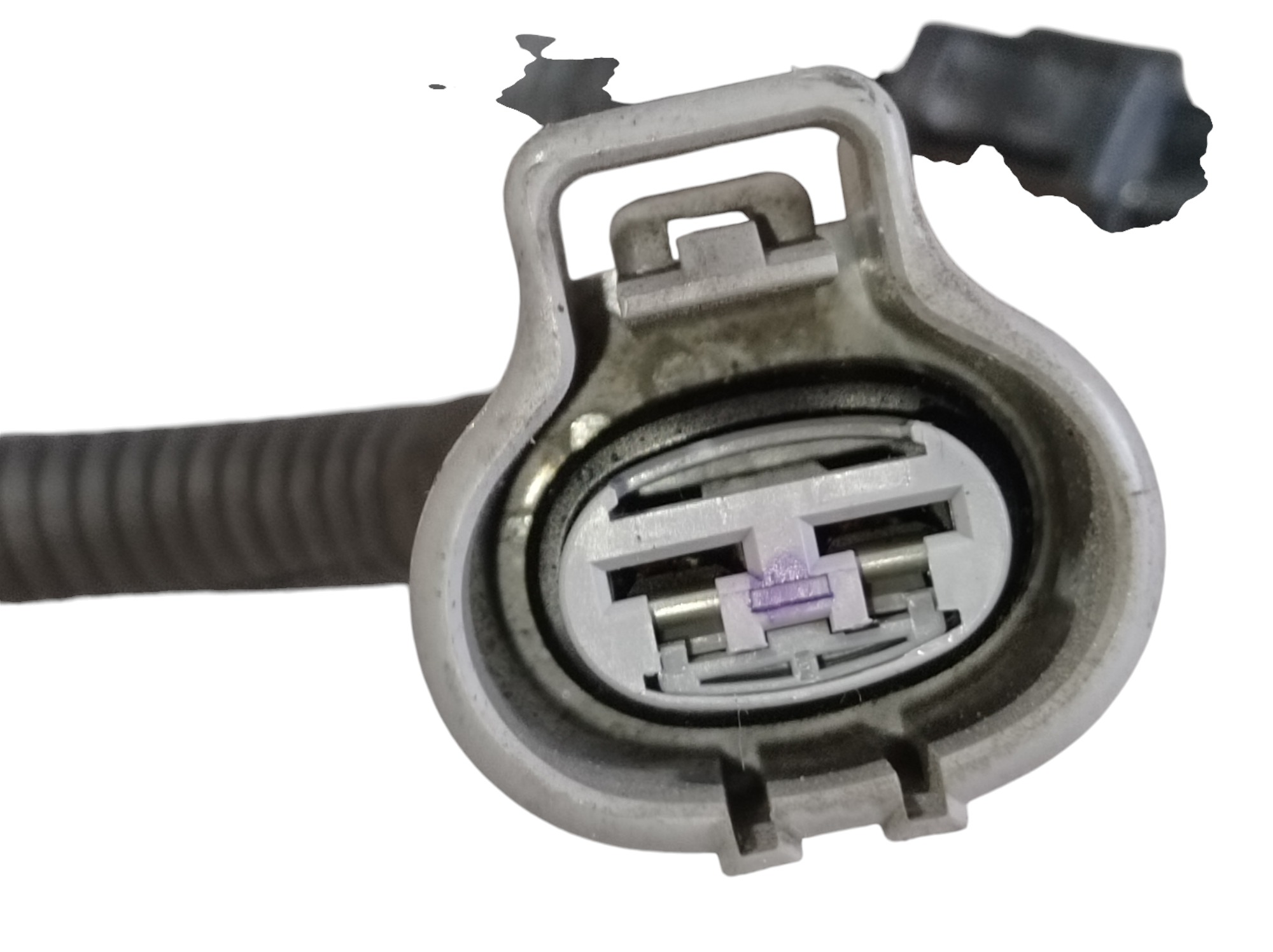 Chicote Ventoinha Radiador Lexus Es330 2006 3.3 V6 V357 6