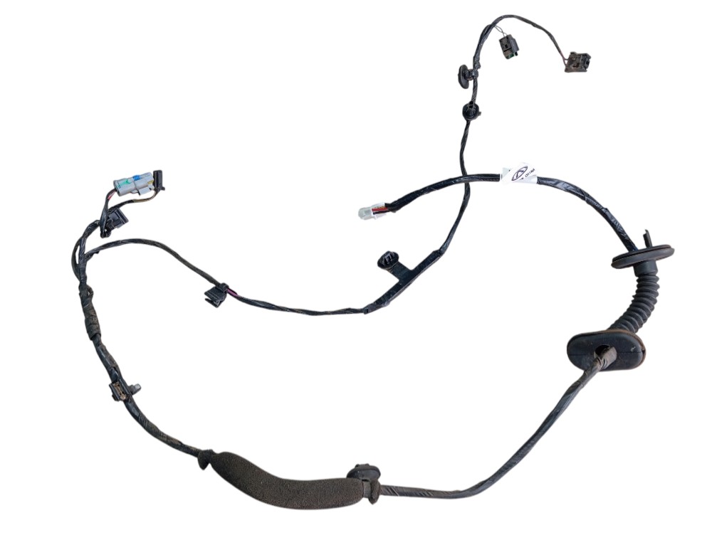 Chicote Porta Traseira Direita Chery Tiggo 2 2020 V613 4